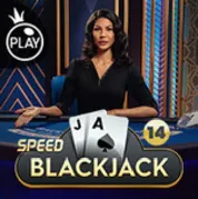 Speedblackjack14 на Vulkan Casino